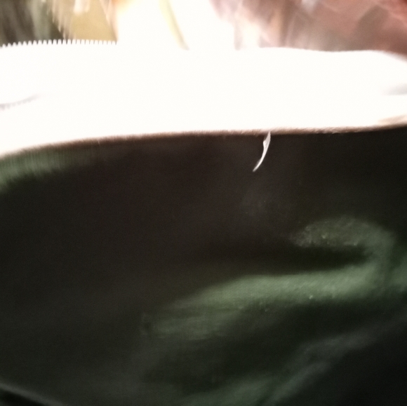 Borghese Bag - Picture 2 of 11